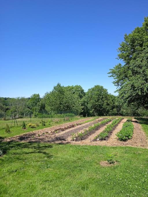 Les Jardins Des 3 Provinces- Gite Villa Montcharvot Exterior photo