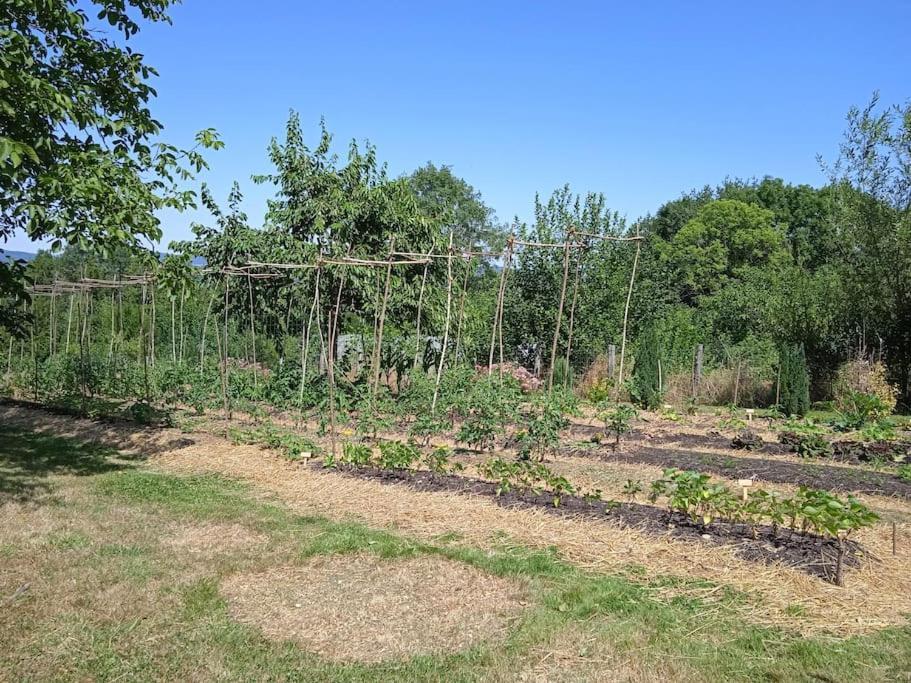 Les Jardins Des 3 Provinces- Gite Villa Montcharvot Exterior photo