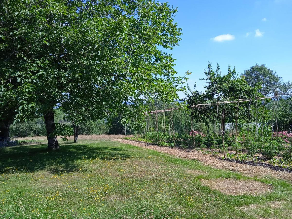 Les Jardins Des 3 Provinces- Gite Villa Montcharvot Exterior photo